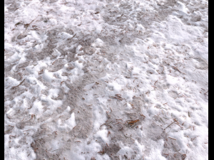 snow terrain pbr pack 8 Tekstur CG