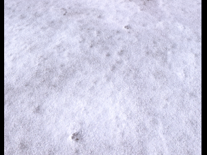 snow terrain pbr pack 8 Tekstur CG