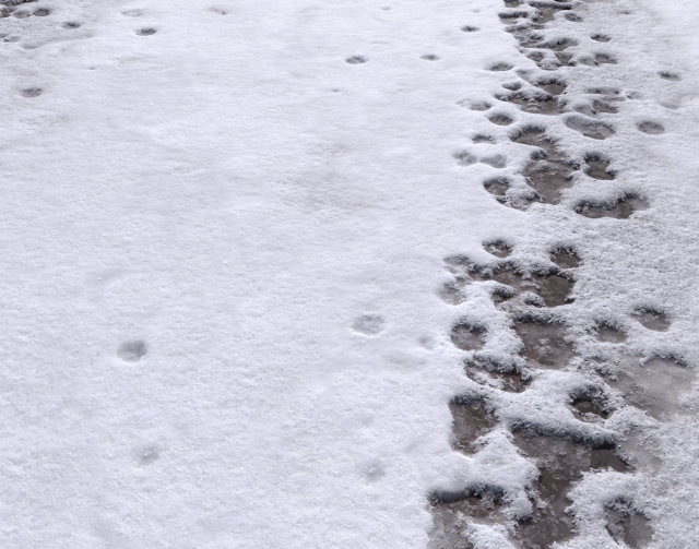 snow terrain pbr pack 8 Tekstur CG .c4d .max .obj .3ds .fbx .stl .blend 