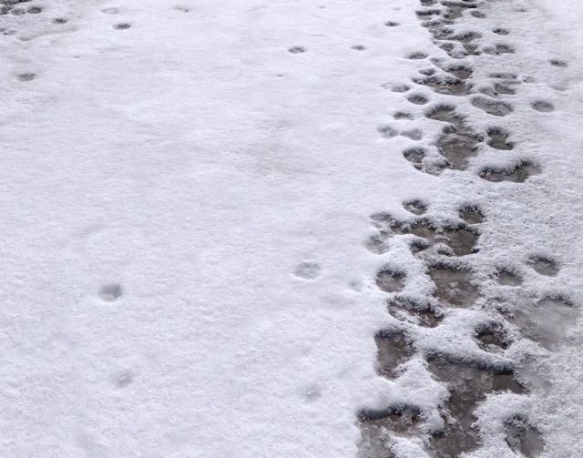 snow terrain pbr pack 8 CG Textures .c4d .max .obj .3ds .fbx .stl .blend