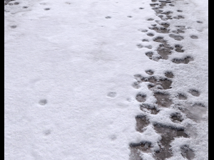 snow terrain pbr pack 8 CG Textures