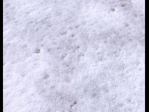 snow terrain pbr pack 8 Tekstur CG