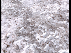 snow terrain pbr pack 8 Tekstur CG