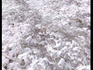 snow terrain pbr pack 8 CG Textures