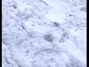 snow terrain pbr pack 9 CG Textures