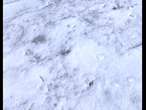 snow terrain pbr pack 9 CG Textures