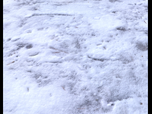 snow terrain pbr pack 9 Tekstur CG