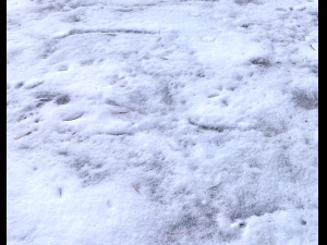 snow terrain pbr pack 9 CG Textures