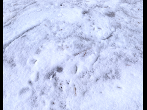 snow terrain pbr pack 9 Tekstur CG