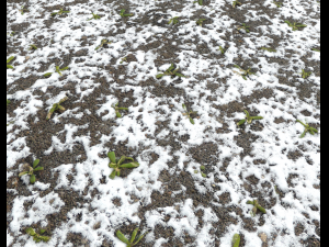 snow terrain pbr pack 10 CG Textures
