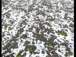 snow terrain pbr pack 10 Texturas CG