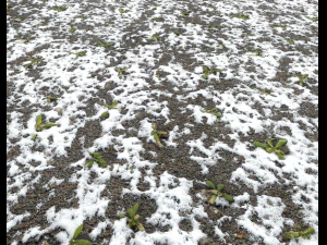 snow terrain pbr pack 10 CG Textures