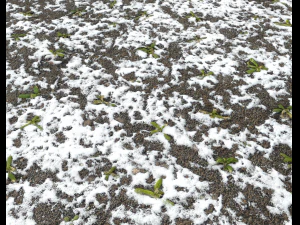 snow terrain pbr pack 10 CG Textures
