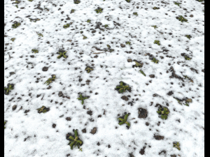 snow terrain pbr pack 10 Texturas CG