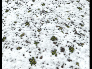 snow terrain pbr pack 10 CG Textures