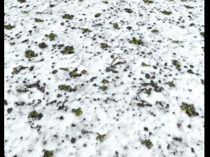 snow terrain pbr pack 10 Texturas CG