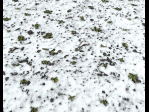 snow terrain pbr pack 10 CG Textures