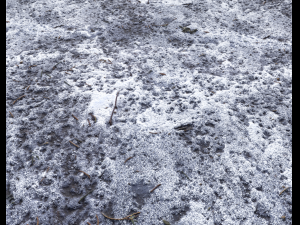 snow terrain pbr pack 10 Texturas CG