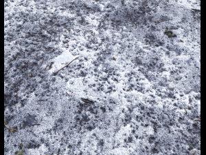 snow terrain pbr pack 10 Texturas CG
