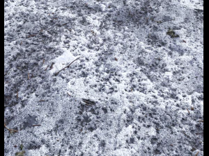 snow terrain pbr pack 10 CG Textures
