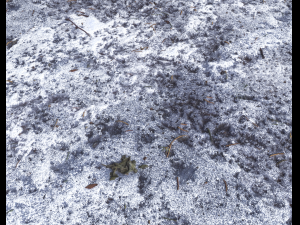 snow terrain pbr pack 10 Texturas CG