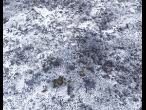 snow terrain pbr pack 10 CG Textures