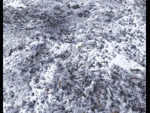 snow terrain pbr pack 10 CG Textures