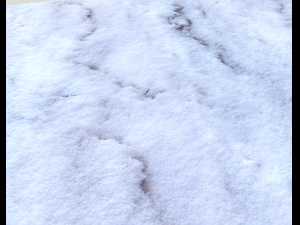 snow terrain pbr pack 10 Texturas CG