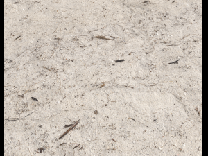 ground terrain beach pbr pack 4 CG 纹理