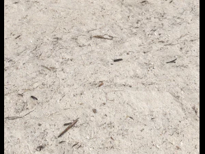 ground terrain beach pbr pack 4 CG Textures
