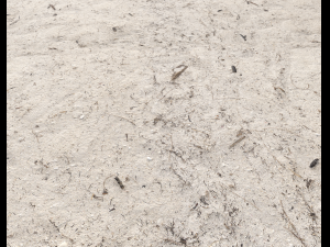 ground terrain beach pbr pack 4 CG 纹理