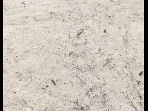 ground terrain beach pbr pack 4 CG Textures