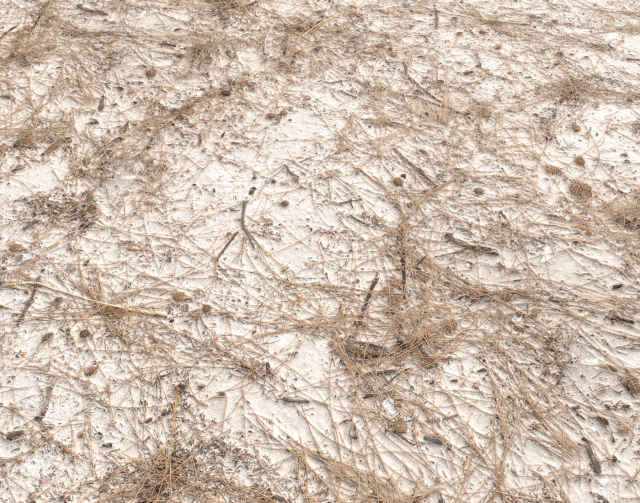 dirty sand terrain pbr pack 1 CG Textures .c4d .max .obj .3ds .fbx .stl .blend 
