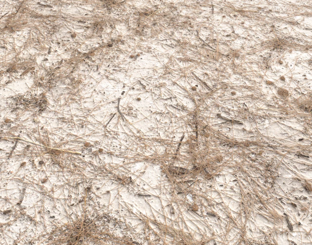 dirty sand terrain pbr pack 1 CG Textures .c4d .max .obj .3ds .fbx .stl .blend