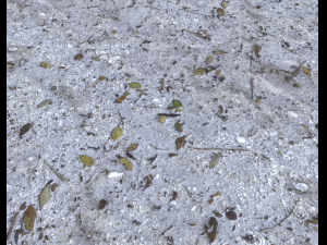 dirty sand terrain pbr pack 1 CG Textures
