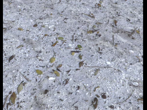 dirty sand terrain pbr pack 1 CG Textures