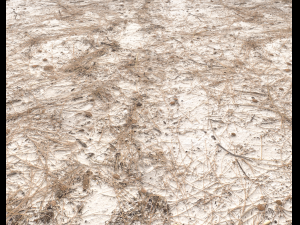 dirty sand terrain pbr pack 1 CG Textures