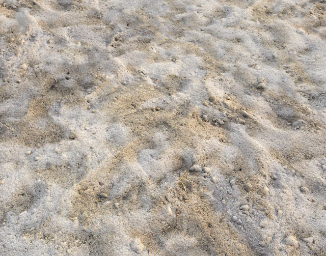 sand terrain pbr pack 3 CG Textures .c4d .max .obj .3ds .fbx .stl .blend 