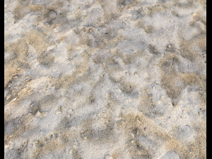 sand terrain pbr pack 3 CG Texturen