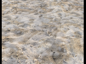 sand terrain pbr pack 3 CG Texturen