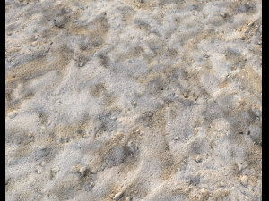 sand terrain pbr pack 3 CG Texturen