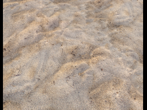 sand terrain pbr pack 3 CG Texturen