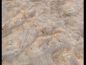 sand terrain pbr pack 3 CG Textures