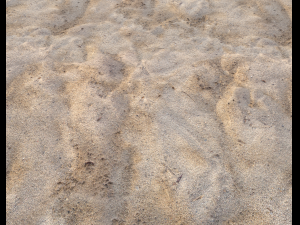 sand terrain pbr pack 3 CG Texturen