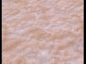 sand terrain pbr pack 3 CG Textures