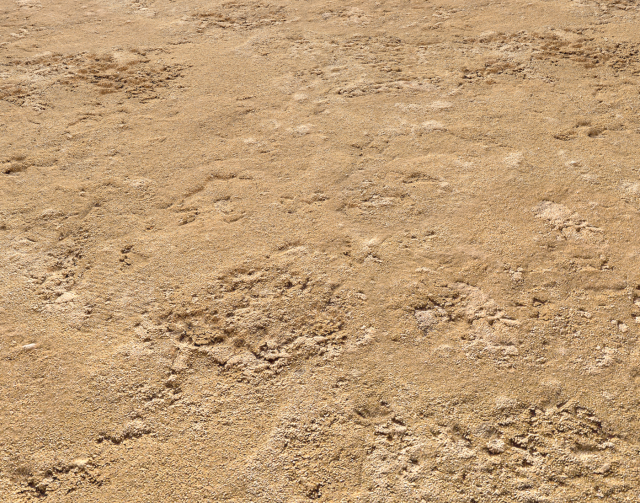 sand terrain pbr pack 4 CG Texturen .c4d .max .obj .3ds .fbx .stl .blend 