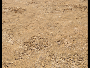 sand terrain pbr pack 4 CG Textures