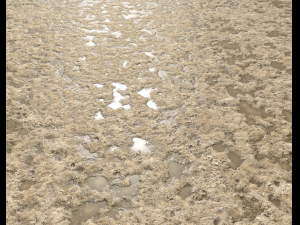 sand terrain pbr pack 4 CG Texturen