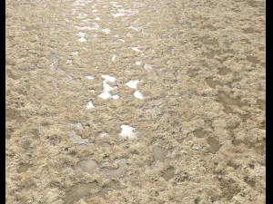 sand terrain pbr pack 4 CG Textures