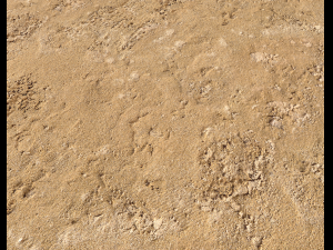 sand terrain pbr pack 4 CG Texturen